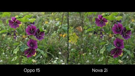 OPPO F5对比华为Nova 2i拍照水平, 国产中端机的对决