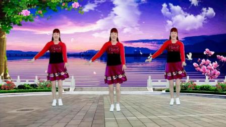 点击观看《蝶舞芳香广场舞《闯码头》中年广场舞视频 舞蹈跳得真棒》