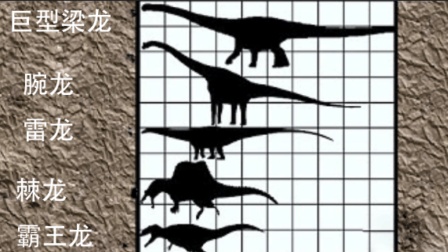 【恐龙包】恐龙大小比较
