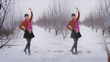 点击观看《阳光溪柳广场舞 爱你错错错 大雪中的美人舞动青春不惧严寒》