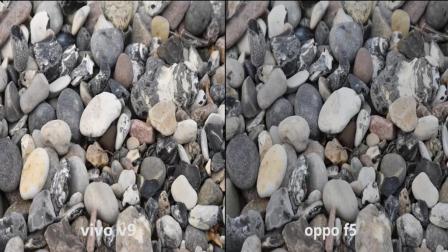 Vivo V9 与Oppo F5 相机画质测试对比