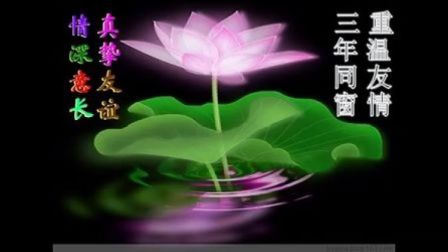 我心爱的姑娘简谱_我心爱的姑娘(2)