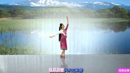 点击观看《北京艺莞儿广场舞 月亮女儿 正背面表演与动作分解》