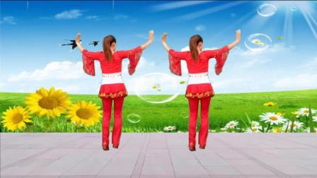 点击观看《玫香广场舞 花蝴蝶 32步广场舞简单易学》