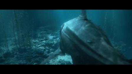 深海狂鲨高清