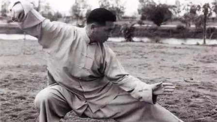 鬼魅神手董虎岭1953年泰国太极拳, 这个境界太恐怖了