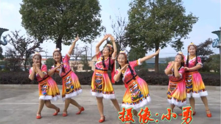 精选热门藏族舞《圣地拉萨》歌醉舞美, 好听好看