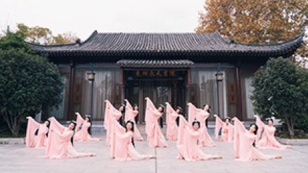 点击观看《中国舞《洛水佼人 》，粉色的少女心》