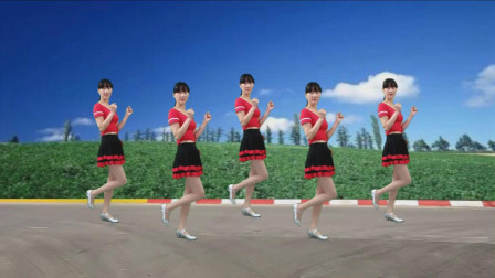 点击观看《阳光溪柳广场舞 精选32步动感时尚 真心真意把你陪 入门级广场舞视频》