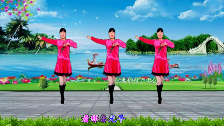 点击观看《河北青青广场舞《花桥流水》8步附教学 适合初学者!》