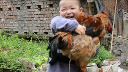 两岁宝宝偷走外婆养的大公鸡，烤得半生不熟抱着啃，让人哭笑不得