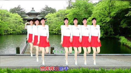 点击观看《河北青青广场舞《负心的你》入门16步有教学简单易学》