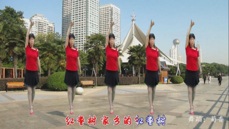 点击观看《初级广场健身舞红枣树 梦中的流星新手学跳舞蹈视频》