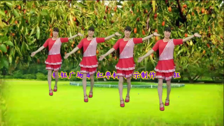 点击观看《钰钰广场舞《红枣树》好听又好看舞蹈附教学》