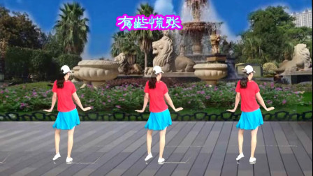 点击观看《阿娜广场舞蹈视频教学有些慌张 附正背面分解教程》