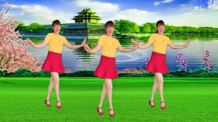 点击观看《云豫风彩初级入门舞蹈视频 16步广场舞《小妹甜甜甜》》