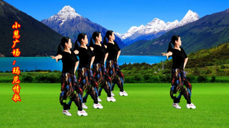 点击观看《32步提胯健身舞玛尼情歌 小慧广场舞教程一步一步教》