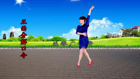 点击观看《大妈舞蹈酒梦分解教学视频下载 益馨广场舞》