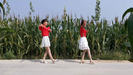 点击观看《河北青青广场舞《最炫民族风》农村实景双人版》