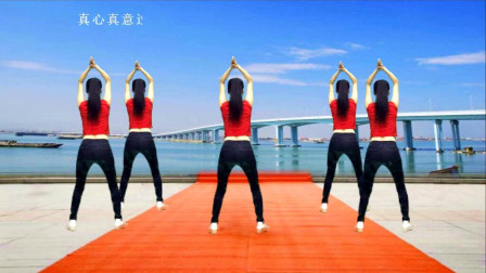 点击观看《钦钦广场舞 一看二扭三熟练，学会这些健身舞步》