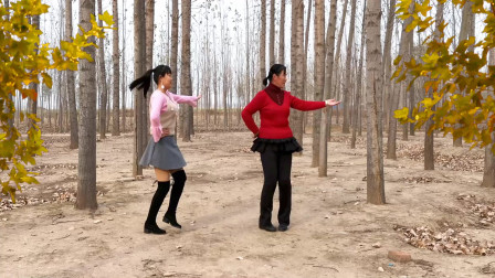 点击观看《河北青青广场舞《真的没骗你》32步乡村风光实景双人版》