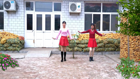 点击观看《河北青青广场舞 爱不停息 32步 双人舞》