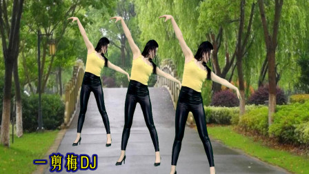 点击观看《青青世界最潮广场舞一剪梅DJ 中年大姐舞蹈视频》