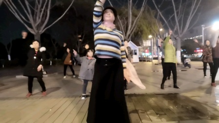 点击观看《广场舞视频大全 舞灵美娜子舞蹈野花香》