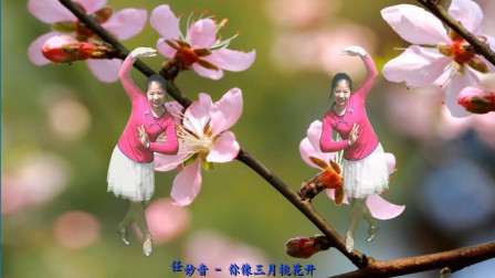 点击观看《漳河梅子广场舞《你像三月桃花开》编舞江南雨》