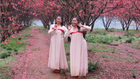 点击观看《广西柳州彩虹健身姊妹花《你像三月桃花开》古典舞 编舞：无边》