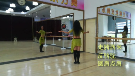 点击观看《宁波艾妮东方舞《可爱的达娜》双面肚皮舞教学讲解》