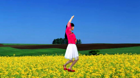 点击观看《流行情歌 中老年广场舞视频大全《油菜儿花开》》