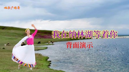 网红藏舞《我在纳林湖等着你》背面演示