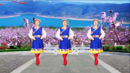 藏族广场舞《草原香姑娘》优美动听，简单易学又好看附教学