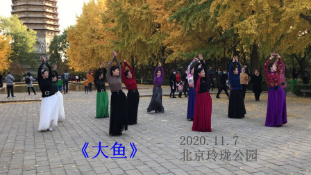 玲珑舞蹈队，【新舞】广场舞《大鱼》2020.11.7于玲珑公园