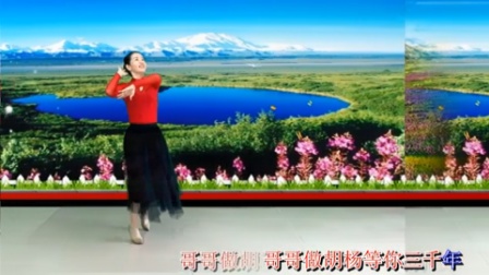 渭南踏舞飞扬广场舞《我要去西藏》原创混搭风格水兵舞