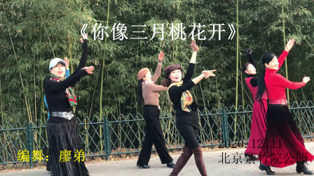 【舞】相约紫竹舞蹈队，广场舞《你像三月桃花开》，编舞：廖弟