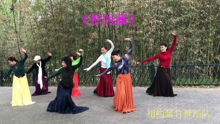 【舞】相约紫竹舞蹈队表演，广场舞《想西藏》，2021.4.11紫竹院