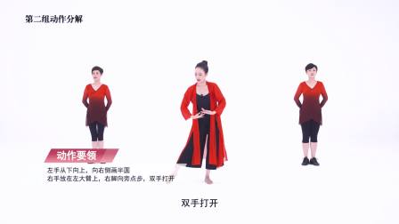 半壶纱-李莹丨炫舞未来广场舞