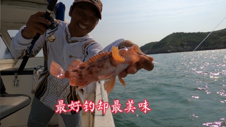 小潮钓虎头鱼的好时候，两个人30斤虎头和36斤鲈鱼，3000