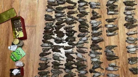 男子毒死200多只麻雀被抓竟称：要自己吃！