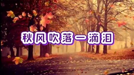 紫海流星广场舞《秋风吹落一滴泪》