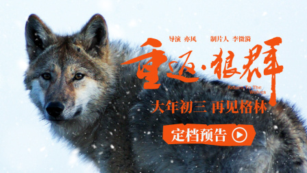 《重返&middot;狼群》大年初三重映 狼王格林感动数千万人
