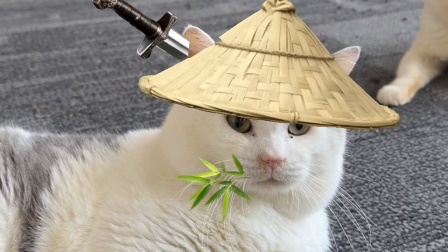 少侠：给你脸了，掀我帽砸