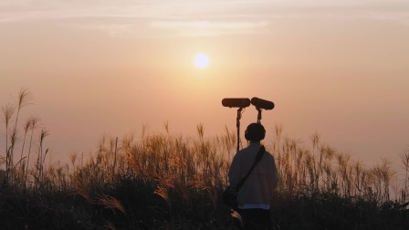 陆游的乡村世界 陆游爱山水，登上会稽山聆听同一种风声