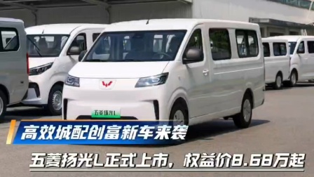 高效城配创富新车来袭 五菱扬光L正式上市，权益价8.68万起