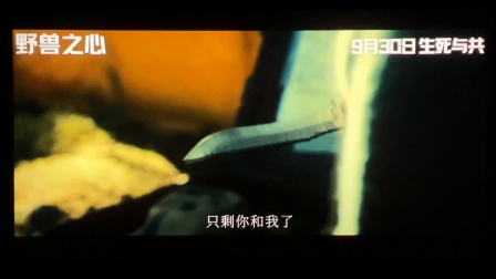 敦野为我试小神预告片