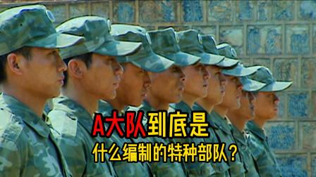 士兵突击里面的A大队，他们到底是什么编制的特种部队？