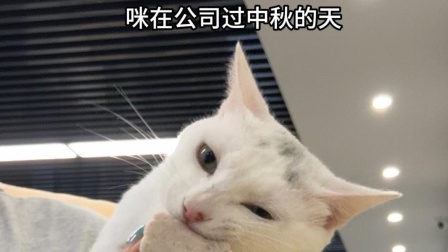 咪！也过上中秋啦！