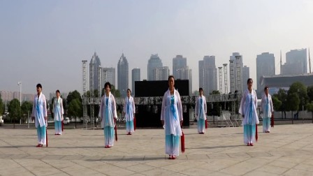 纪念《抒怀剑》推向社会二十八周年  郑州胡会平队表演《夜深沉》